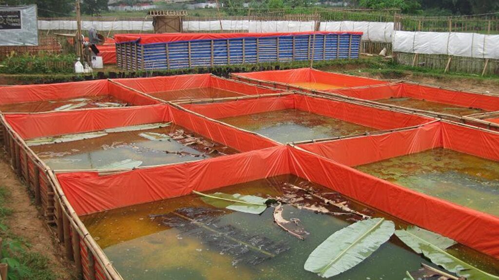 Jual Terpal Kolam Lele di Palembang